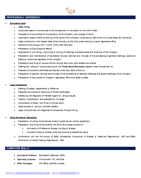 Sample resume company description